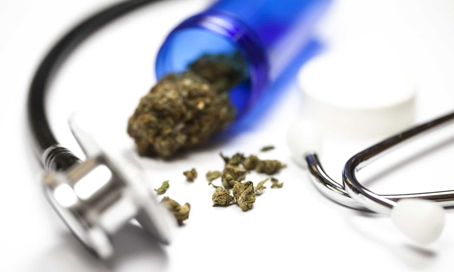 coraggio e codardia dei medici rispetto alla marijuana medica