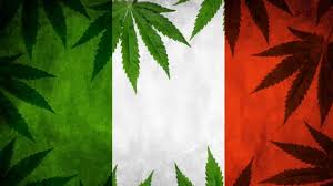 marijuana legale in italia