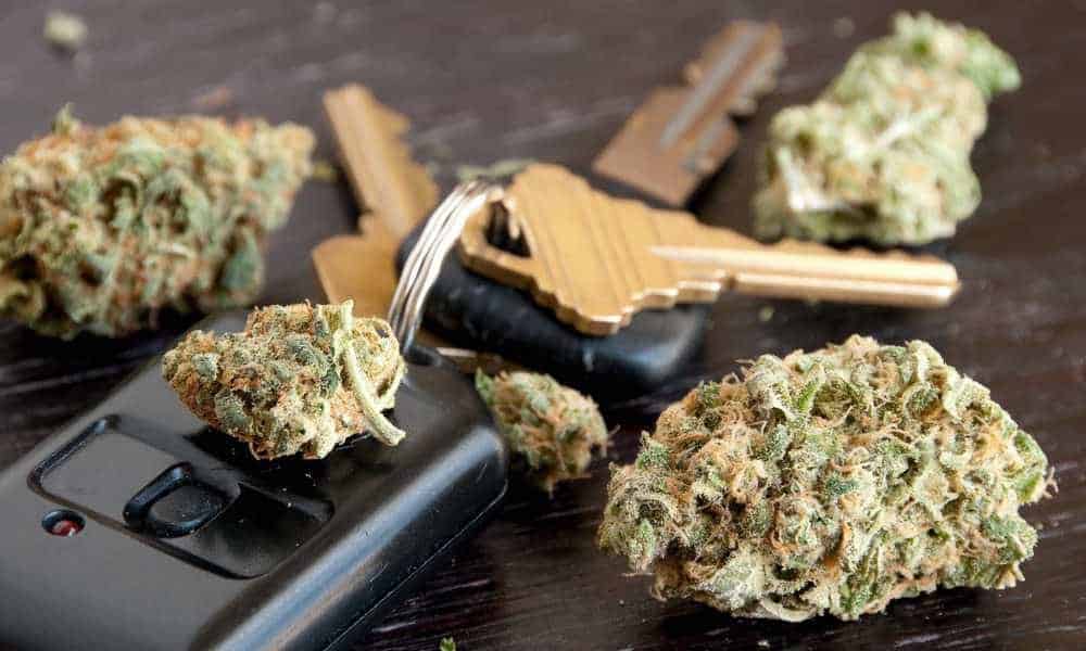 Conosci il CBD? La marijuana legale senza effetti collaterali