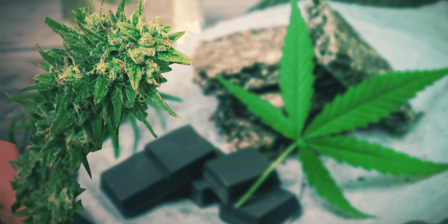 Le migliori varietà per produrre cibi commestibili alla marijuana