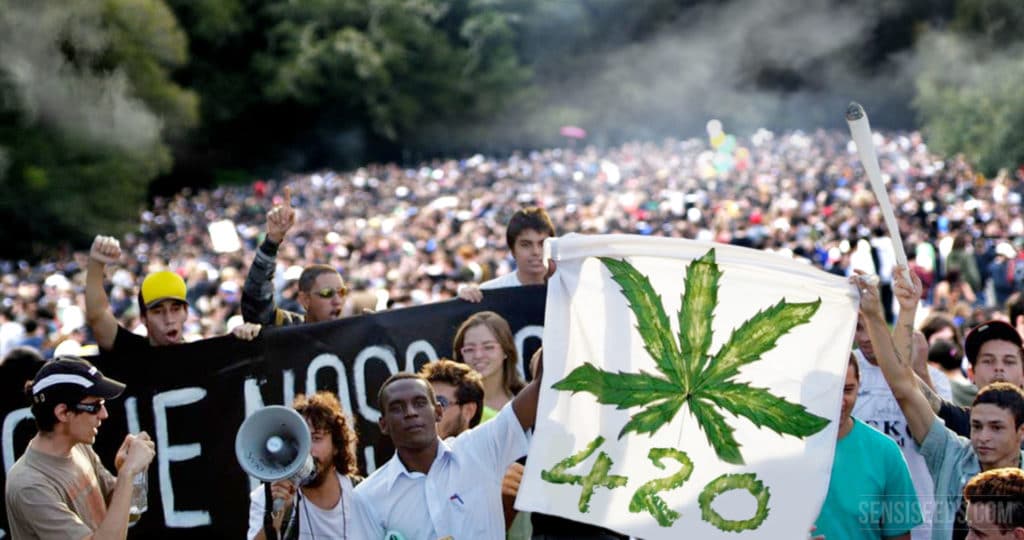 cannabis day, giornata mondiale della marijuana