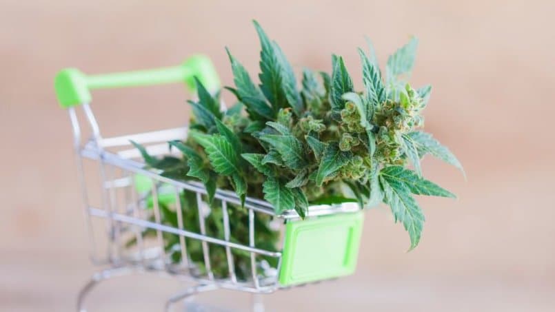 comprare marijuana online, marijuana legale, marijuana online, comprare erba online