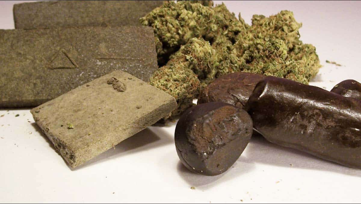 differenza tra hashish e charas
