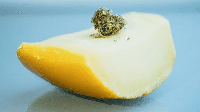 COME FARE IL FORMAGGIO CHEDDAR CON LA BLUE CHEESE