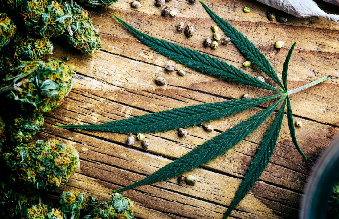 Cbd, Cannabis E Canapa Qual È La Differenza Tra Questi Prodotti?