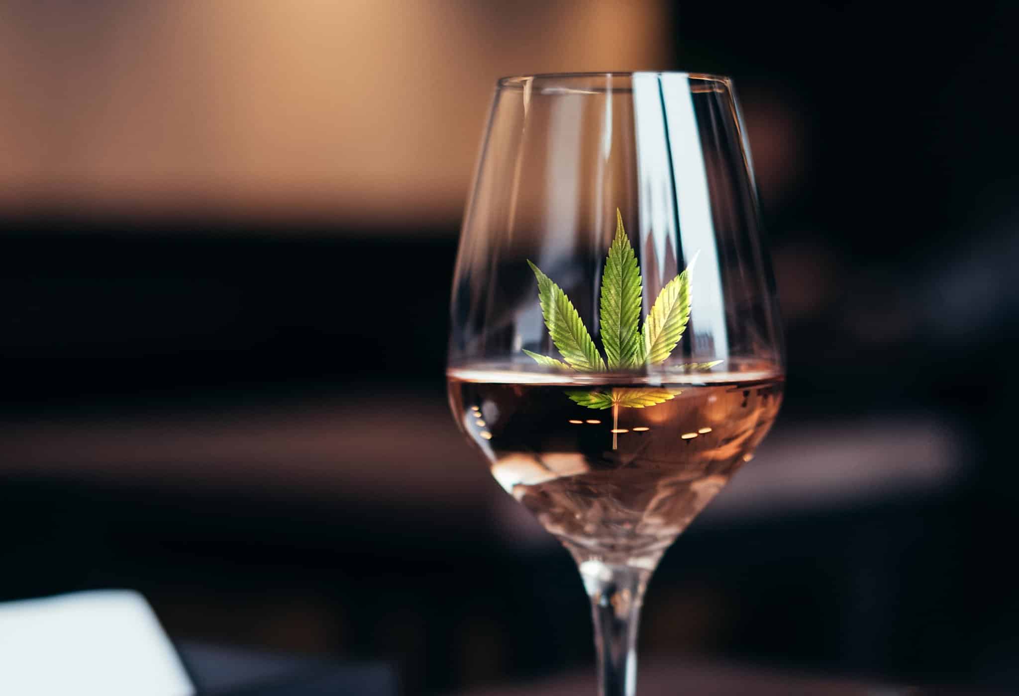 Come Fare Il Vino Alla Cannabis