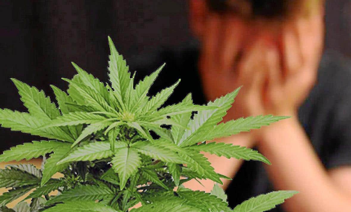 La marijuana crea dipendenza?