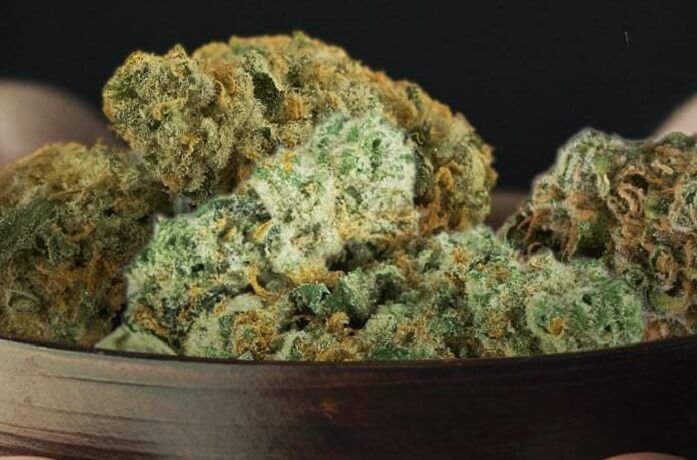 le varietà di Marijuana- La bluberry
