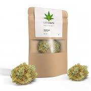 mango haze, la storia
