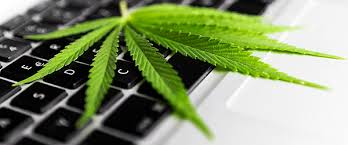 Acquistare Erba Online