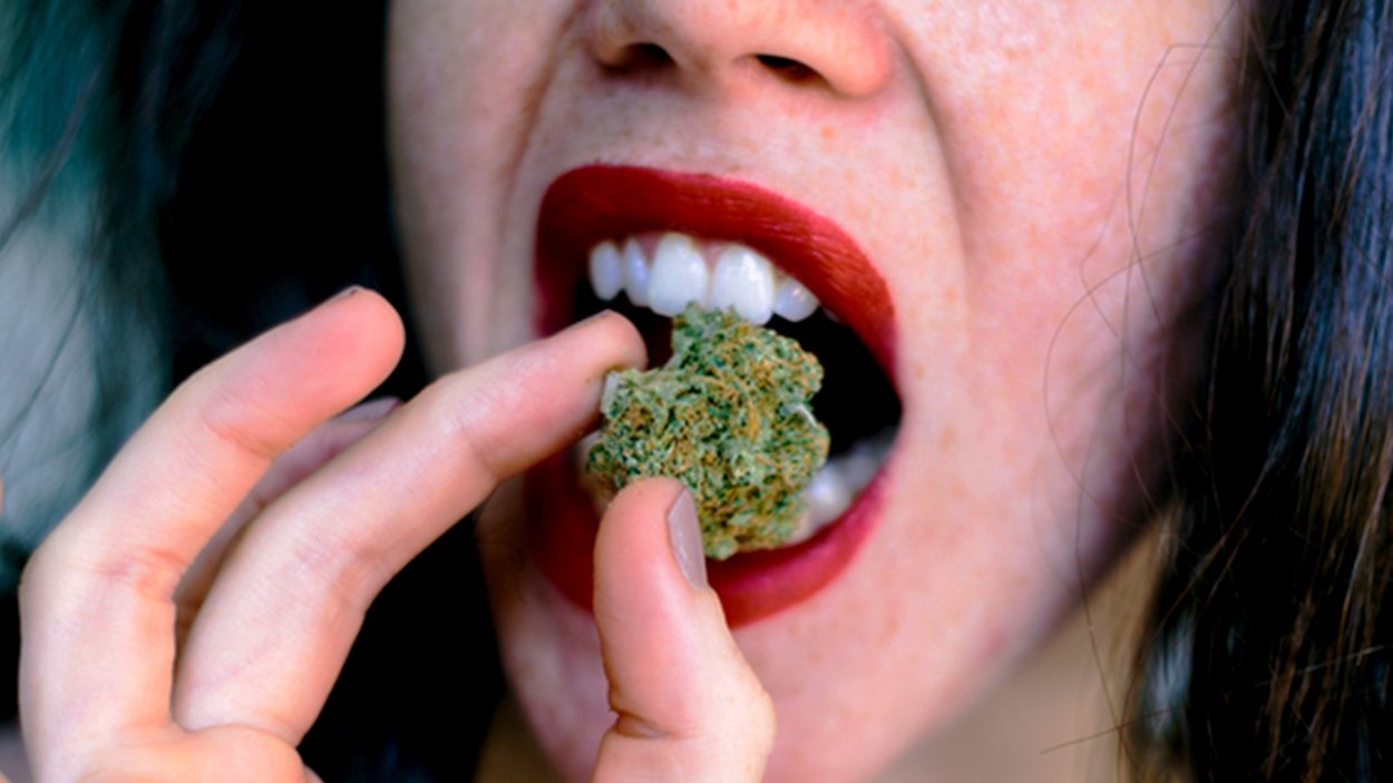 Mangiare Marijuana? Questo È Quello Che Devi Sapere!