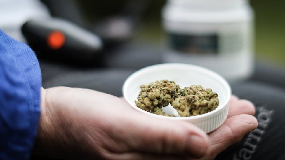 Cannabis Legale