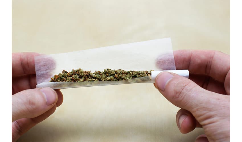 Come Si Rolla La Canna Di Ganja Perfetta