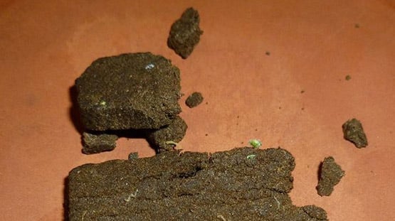 Hashish Nepalese