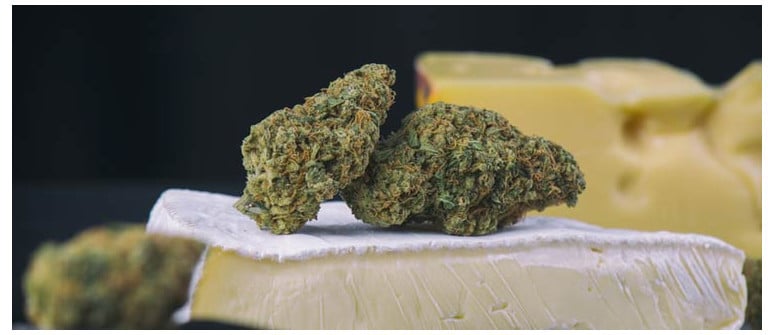 Blue Cheese Weed