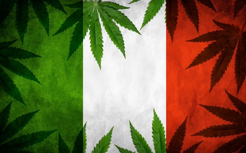 Marijuana Legale Con Basso Thc