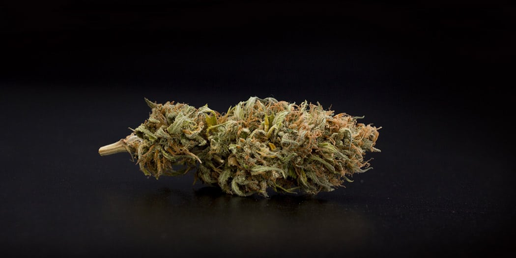 Orange Bud La Cannabis Al Sapore Di Arancia