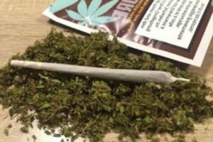 La Cannabis Legale E Le Nostre Lotte!