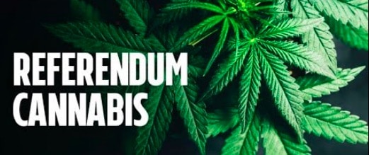 Referendum Cannabis