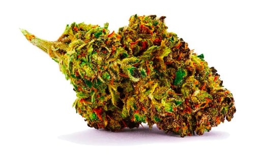 Lemon Haze, La Marijuana Che Sa Di Agrumi
