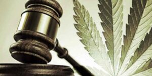 Marijuana Legale Consigli Acquisti